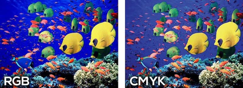 So Sánh CMYK vs RGB So Sánh CMYK vs RGB